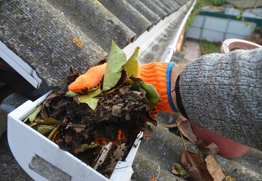 Prevent 5 Costly Home Repairs With Regular Gutter Cleaning